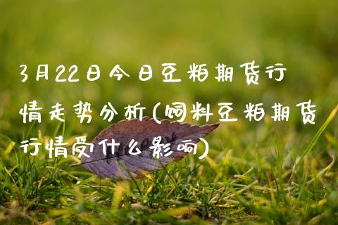 3月22日今日豆粕期货行情走势分析(饲料豆粕期货行情受什么影响)_https://www.boyangwujin.com_期货直播间_第1张