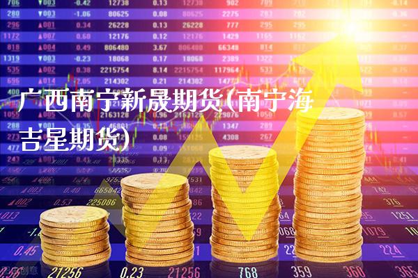 广西南宁新晟期货(南宁海吉星期货)_https://www.boyangwujin.com_恒生指数_第1张