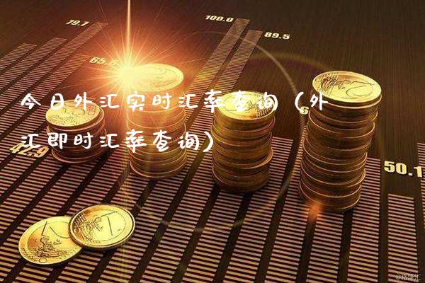 今日外汇实时汇率查询（外汇即时汇率查询）_https://www.boyangwujin.com_期货直播间_第1张