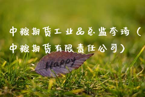 中粮期货工业品总监李琦（中粮期货有限责任公司）_https://www.boyangwujin.com_黄金期货_第1张