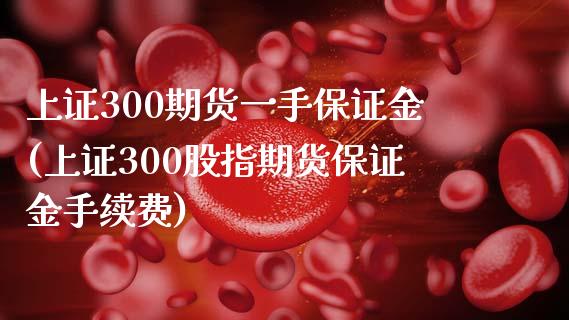 上证300期货一手保证金(上证300股指期货保证金手续费)_https://www.boyangwujin.com_期货直播间_第1张