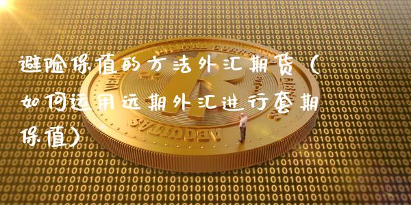 避险保值的方法外汇期货（如何运用远期外汇进行套期保值）