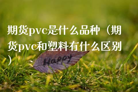 期货pvc是什么品种（期货pvc和塑料有什么区别）_https://www.boyangwujin.com_期货直播间_第1张