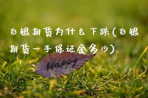 白银期货为什么下跌(白银期货一手保证金多少)_https://www.boyangwujin.com_原油期货_第1张
