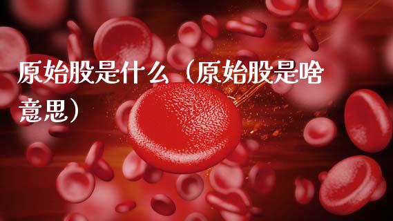 原始股是什么（原始股是啥意思）
