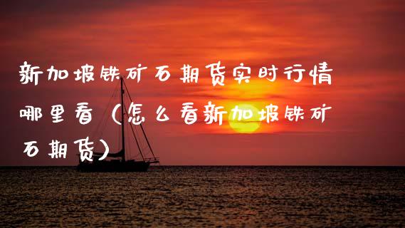 新加坡铁矿石期货实时行情哪里看（怎么看新加坡铁矿石期货）_https://www.boyangwujin.com_纳指期货_第1张