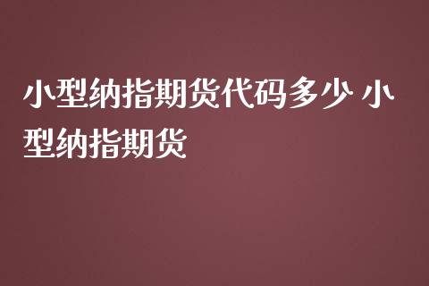 小型纳指期货代码多少 小型纳指期货