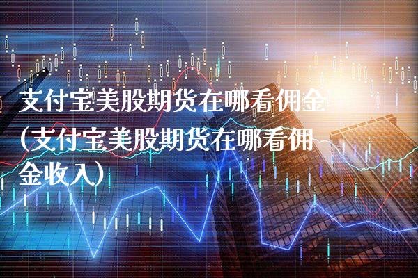 支付宝美股期货在哪看佣金(支付宝美股期货在哪看佣金收入)_https://www.boyangwujin.com_纳指期货_第1张