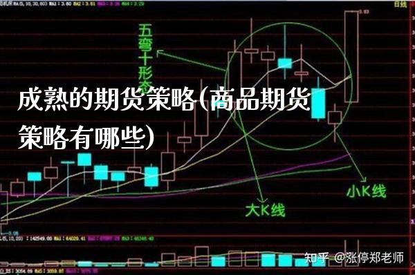 成熟的期货策略(商品期货策略有哪些)_https://www.boyangwujin.com_内盘期货_第1张
