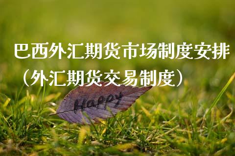 巴西外汇期货市场制度安排（外汇期货交易制度）