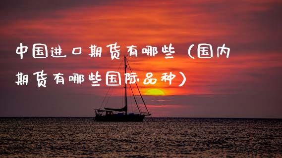 中国进口期货有哪些（国内期货有哪些国际品种）