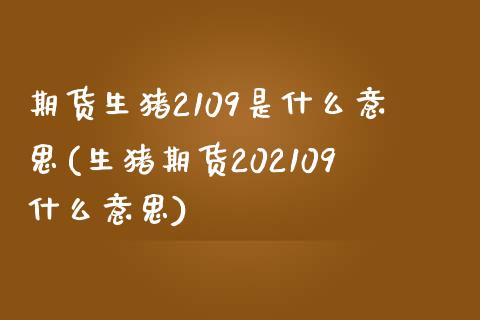 期货生猪2109是什么意思(生猪期货202109什么意思)