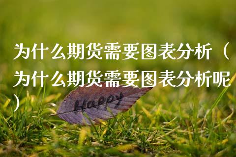 为什么期货需要图表分析（为什么期货需要图表分析呢）