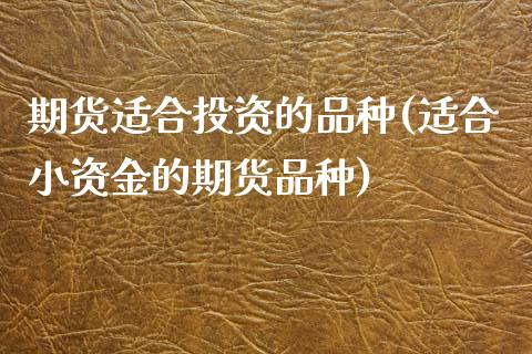 期货适合投资的品种(适合小资金的期货品种)_https://www.boyangwujin.com_恒生指数_第1张