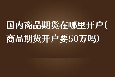 国内商品期货在哪里开户(商品期货开户要50万吗)