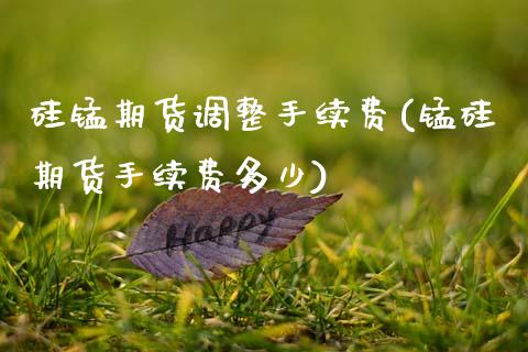 硅锰期货调整手续费(锰硅期货手续费多少)