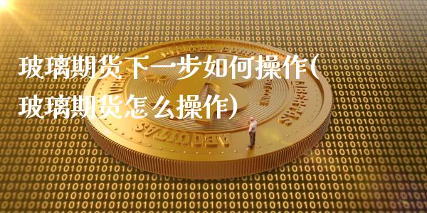 玻璃期货下一步如何操作(玻璃期货怎么操作)_https://www.boyangwujin.com_期货直播间_第1张