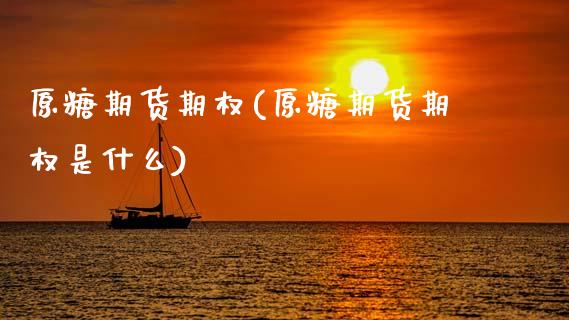 原糖期货期权(原糖期货期权是什么)