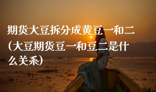 期货大豆拆分成黄豆一和二(大豆期货豆一和豆二是什么关系)_https://www.boyangwujin.com_原油直播间_第1张