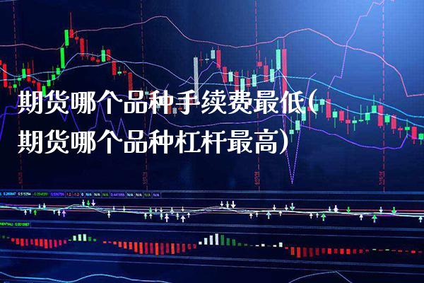 期货哪个品种手续费最低(期货哪个品种杠杆最高)_https://www.boyangwujin.com_期货直播间_第1张