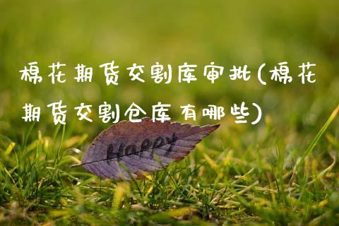 棉花期货交割库审批(棉花期货交割仓库有哪些)_https://www.boyangwujin.com_期货科普_第1张