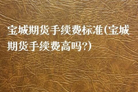 宝城期货手续费标准(宝城期货手续费高吗?)