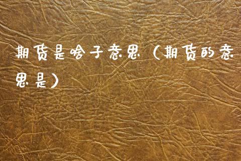 期货是啥子意思（期货的意思是）