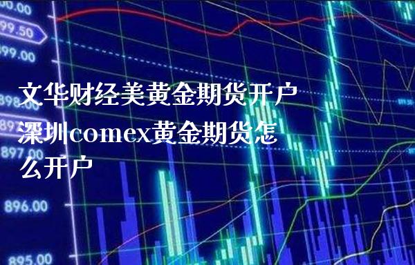 文华财经美黄金期货开户 深圳comex黄金期货怎么开户_https://www.boyangwujin.com_黄金期货_第1张