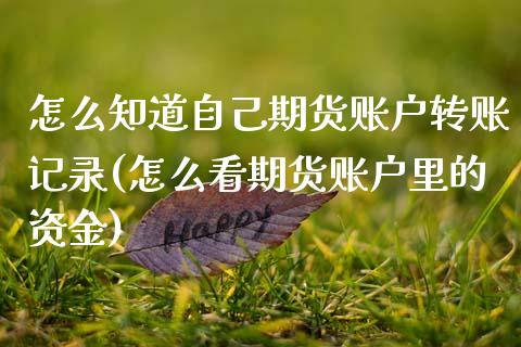 怎么知道自己期货账户转账记录(怎么看期货账户里的资金)_https://www.boyangwujin.com_原油直播间_第1张