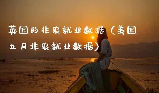 英国的非农就业数据（美国五月非农就业数据）