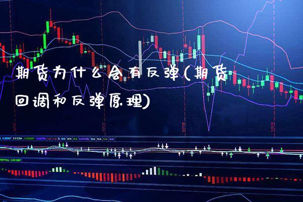 期货为什么会有反弹(期货回调和反弹原理)_https://www.boyangwujin.com_恒生指数_第1张