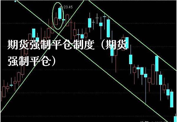 期货强制平仓制度（期货 强制平仓）_https://www.boyangwujin.com_恒生指数_第1张