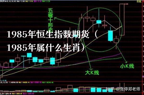 1985年恒生指数期货（1985年属什么生肖）