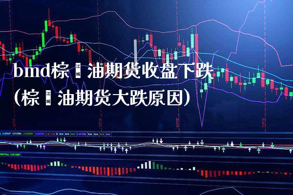 bmd棕榈油期货收盘下跌(棕榈油期货大跌原因)_https://www.boyangwujin.com_期货直播间_第1张