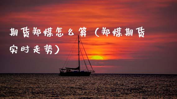 期货郑煤怎么算（郑煤期货实时走势）_https://www.boyangwujin.com_期货直播间_第1张