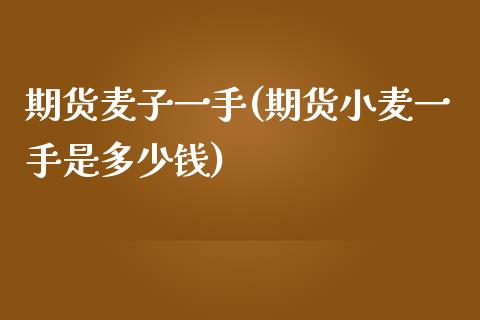 期货麦子一手(期货小麦一手是多少钱)