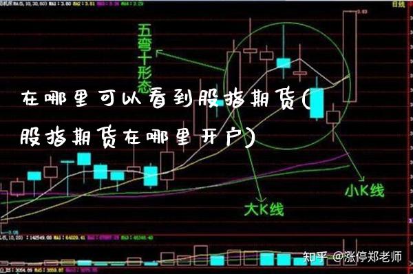 在哪里可以看到股指期货(股指期货在哪里开户)_https://www.boyangwujin.com_原油直播间_第1张