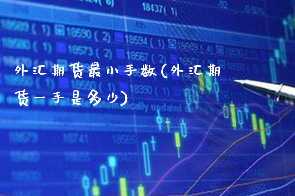 外汇期货最小手数(外汇期货一手是多少)_https://www.boyangwujin.com_恒生指数_第1张