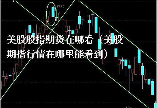 美股股指期货在哪看（美股期指行情在哪里能看到）