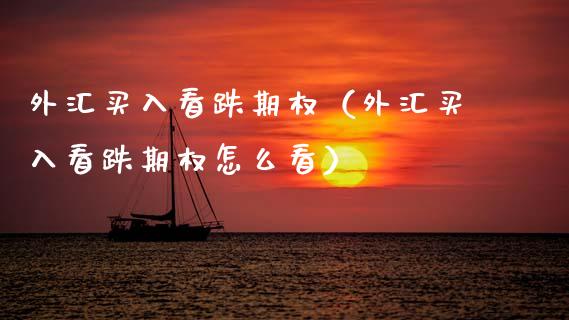 外汇买入看跌期权（外汇买入看跌期权怎么看）_https://www.boyangwujin.com_期货直播间_第1张