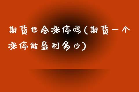 期货也会涨停吗(期货一个涨停能盈利多少)