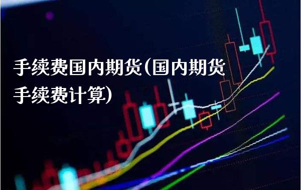 手续费国内期货(国内期货手续费计算)_https://www.boyangwujin.com_期货开户_第1张