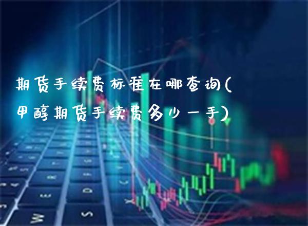 期货手续费标准在哪查询(甲醇期货手续费多少一手)_https://www.boyangwujin.com_黄金期货_第1张