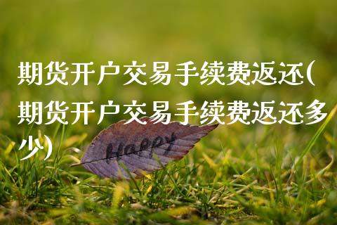 期货开户交易手续费返还(期货开户交易手续费返还多少)_https://www.boyangwujin.com_原油期货_第1张