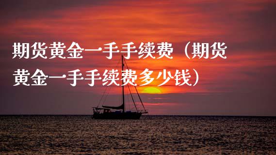 期货黄金一手手续费（期货黄金一手手续费多少钱）_https://www.boyangwujin.com_期货直播间_第1张