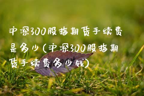 沪深300股指期货手续费是多少(沪深300股指期货手续费多少钱)_https://www.boyangwujin.com_期货直播间_第1张