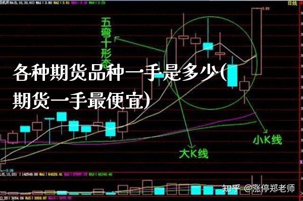 各种期货品种一手是多少(期货一手最便宜)_https://www.boyangwujin.com_恒生指数_第1张