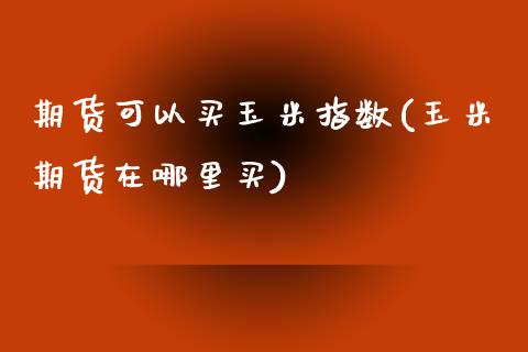 期货可以买玉米指数(玉米期货在哪里买)_https://www.boyangwujin.com_纳指期货_第1张