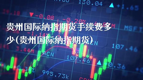 贵州国际纳指期货手续费多少(贵州国际纳指期货)