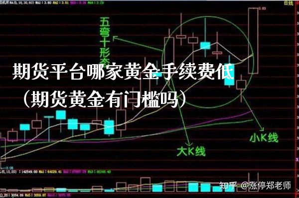 期货平台哪家黄金手续费低（期货黄金有门槛吗）_https://www.boyangwujin.com_期货直播间_第1张